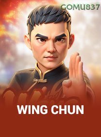Wing Chun game cover